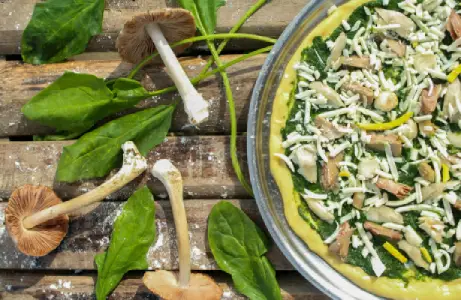 spinach mushroom pizza